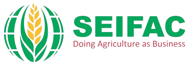 logoImg